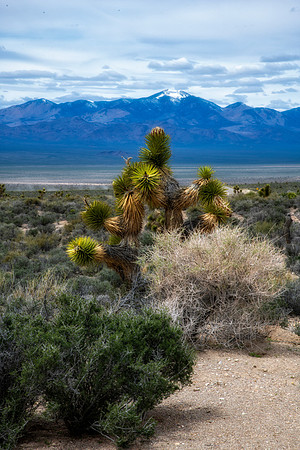 Somewhere in the Nevada Desert