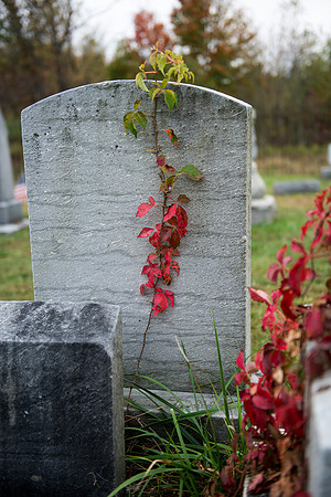 cemetery