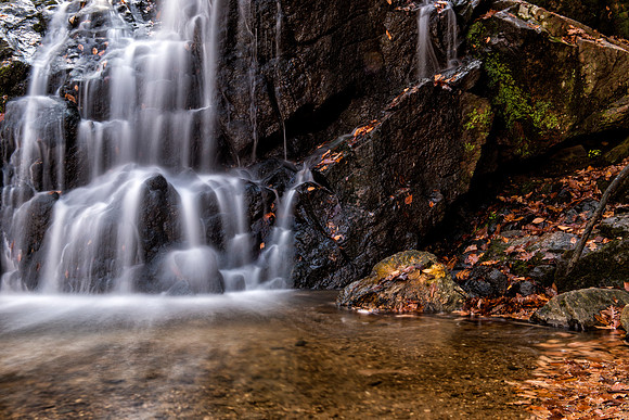 Patapsco Valley State Park