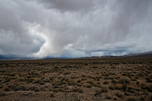 Desert Storm