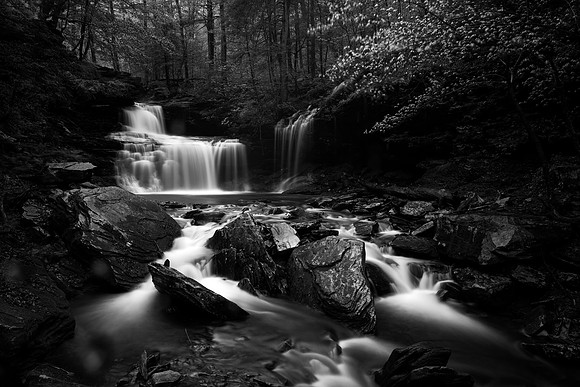 Ozone 2 B&W