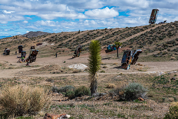 Car Forest Goldfield Nevada