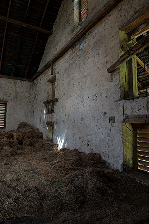 Abandoned House and out Buildings