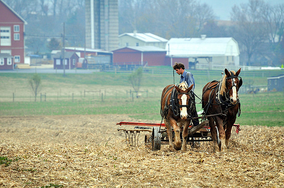 Amish Farm