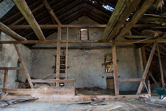 Abandoned House and out Buildings