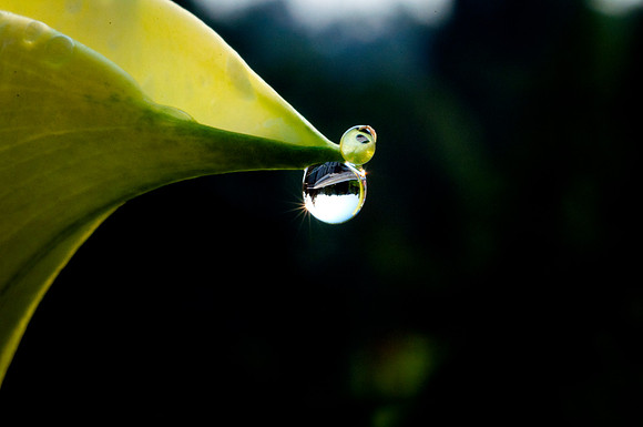 After the Rain
